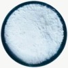 Levetiracetam Manufacturers